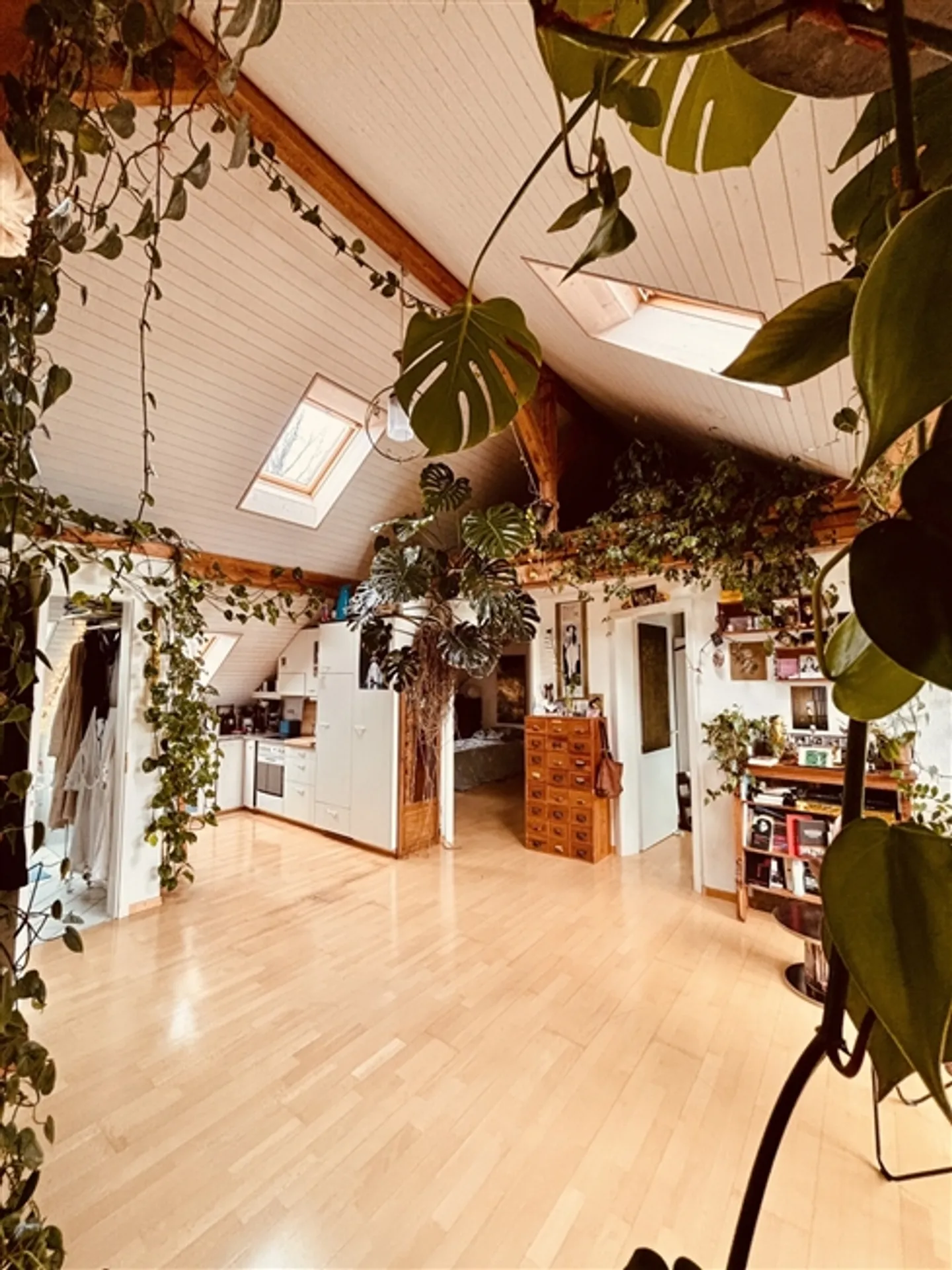 APPARTAMENTO 3 LOCALI A BERN - BREITENRAIN, ARREDATO, TEMPORANEO - Foto 2 di 10