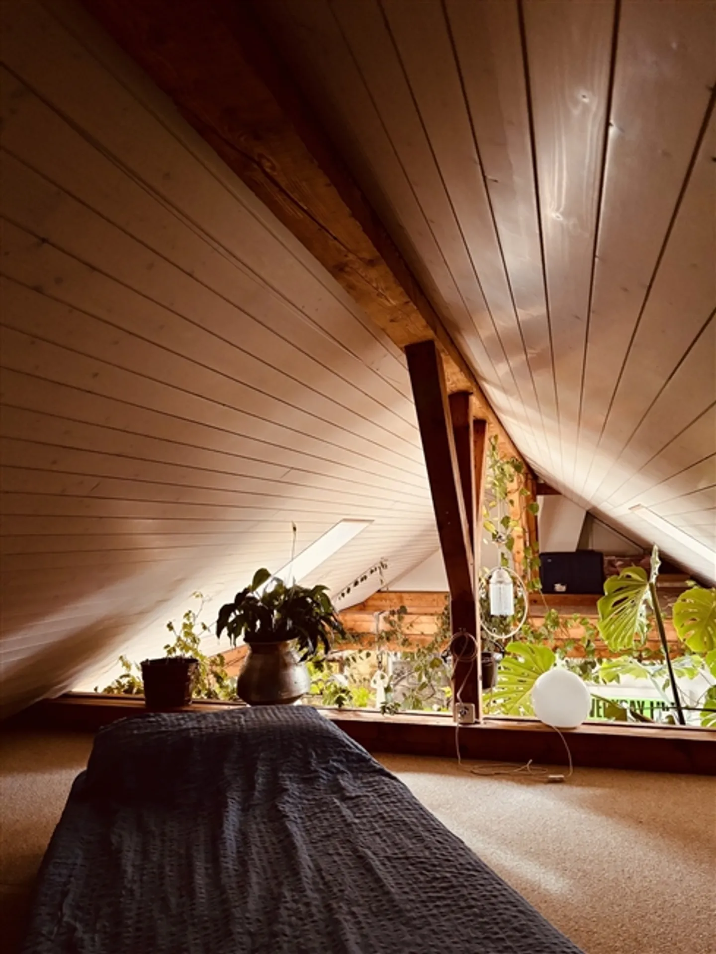 APPARTAMENTO 3 LOCALI A BERN - BREITENRAIN, ARREDATO, TEMPORANEO - Foto 7 di 10