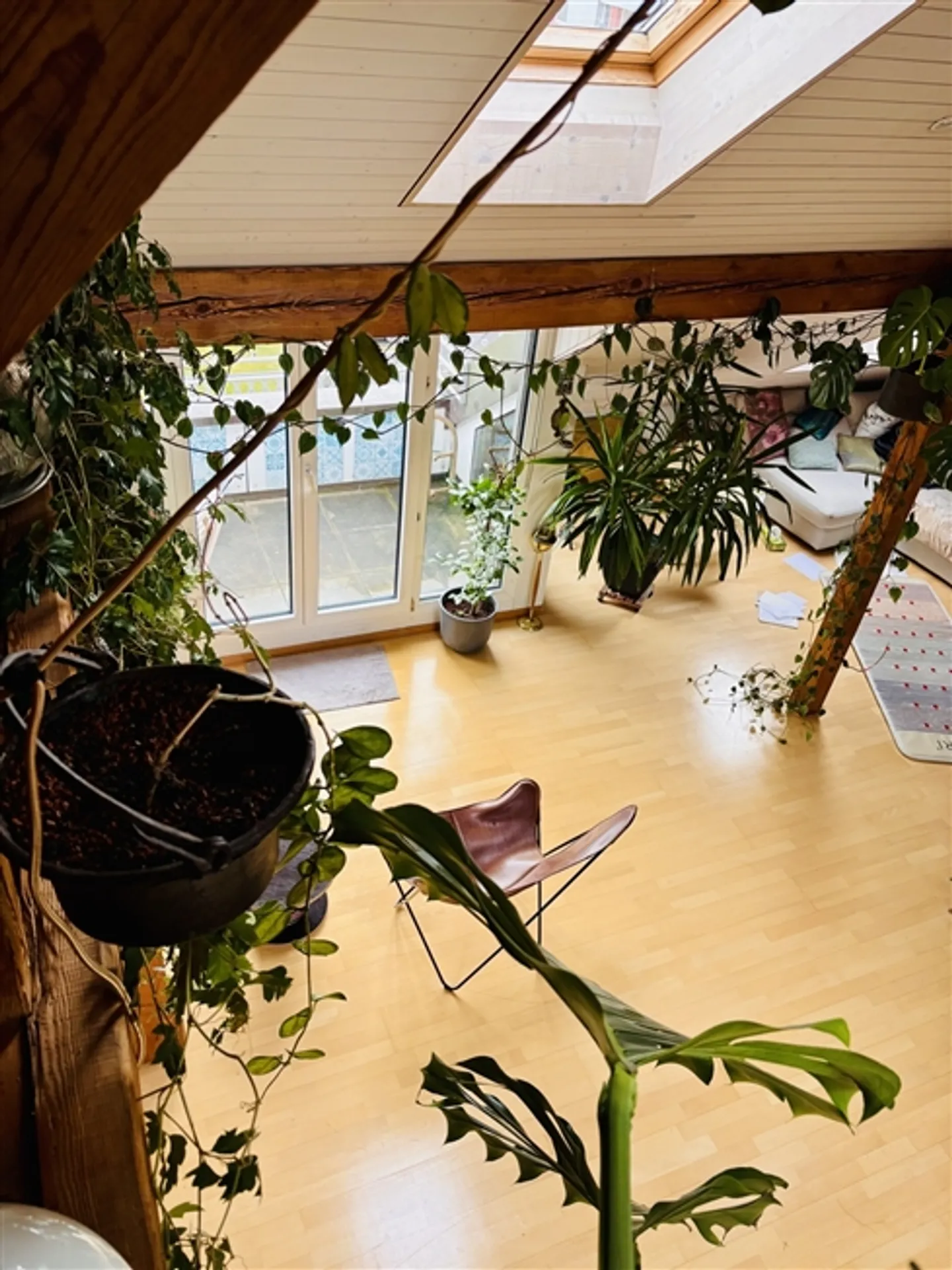 APPARTAMENTO 3 LOCALI A BERN - BREITENRAIN, ARREDATO, TEMPORANEO - Foto 8 di 10