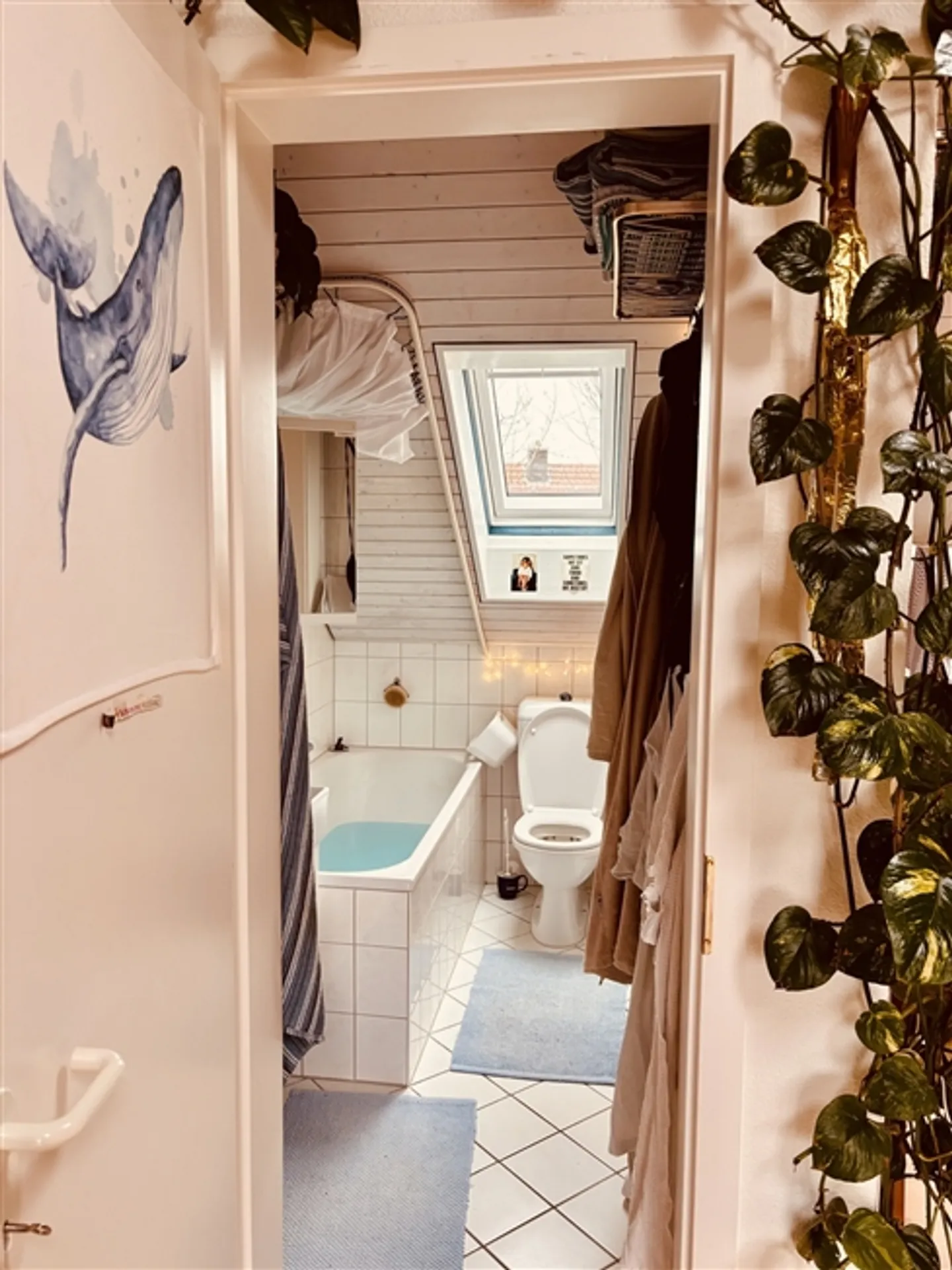 APPARTAMENTO 3 LOCALI A BERN - BREITENRAIN, ARREDATO, TEMPORANEO - Foto 9 di 10