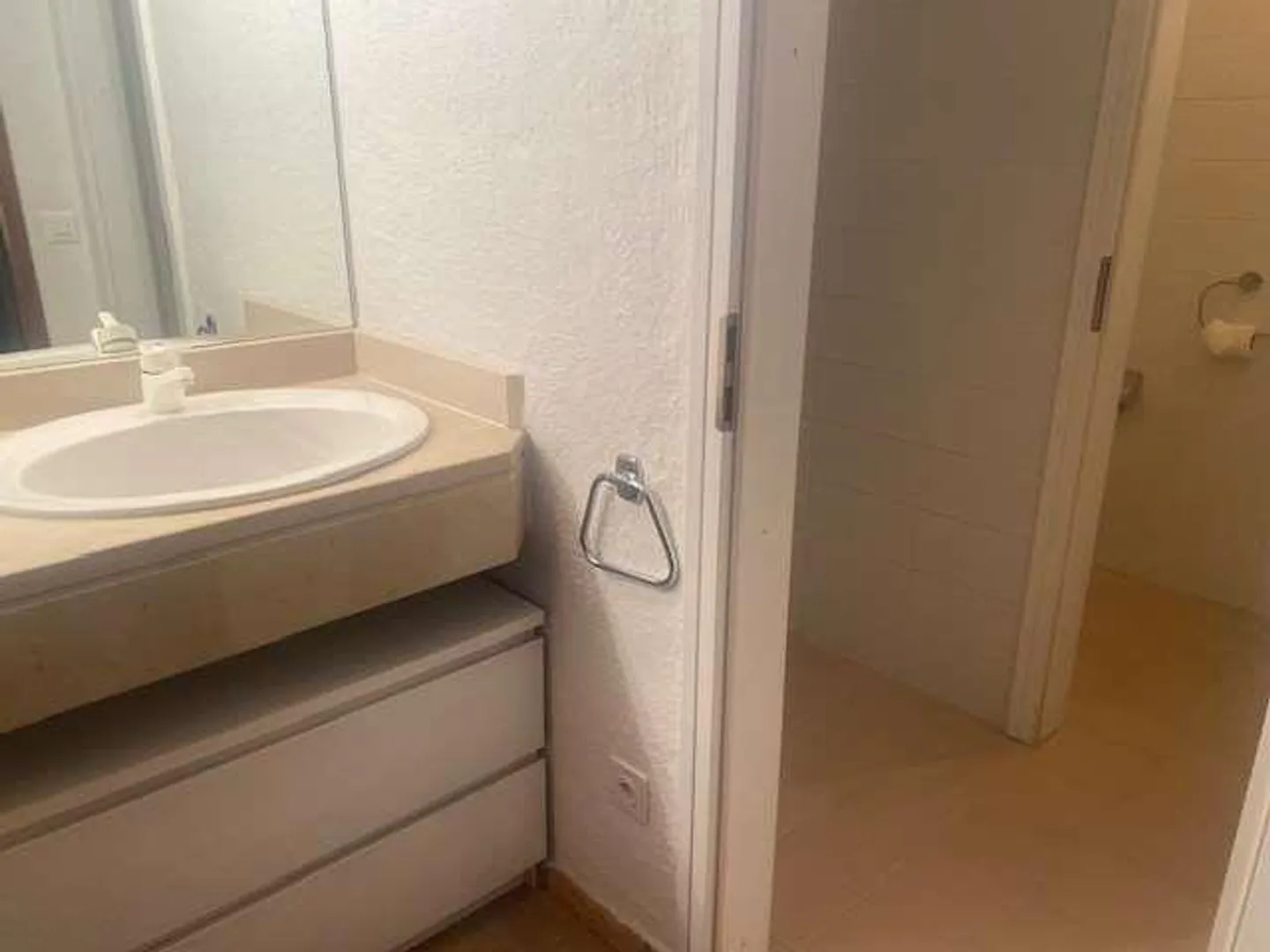 Typical Ticino house with garden - Photo 7 of 13