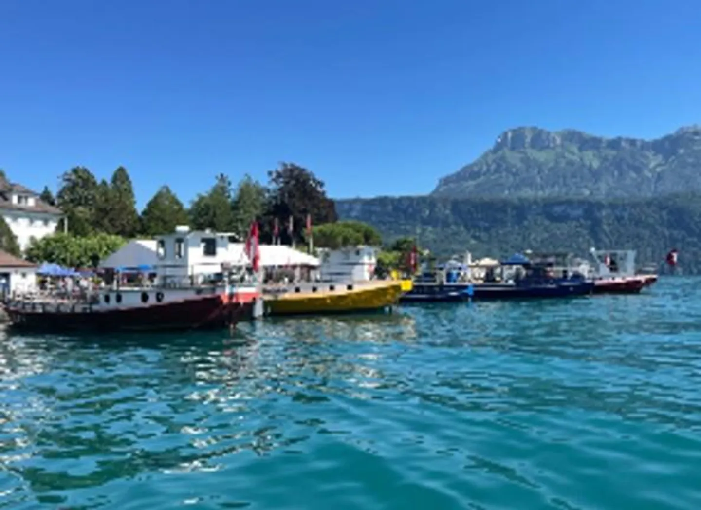 4 appartements dans un immeuble collectif avec vue sur le lac à Gersau/SZ - Photo 25 sur 26