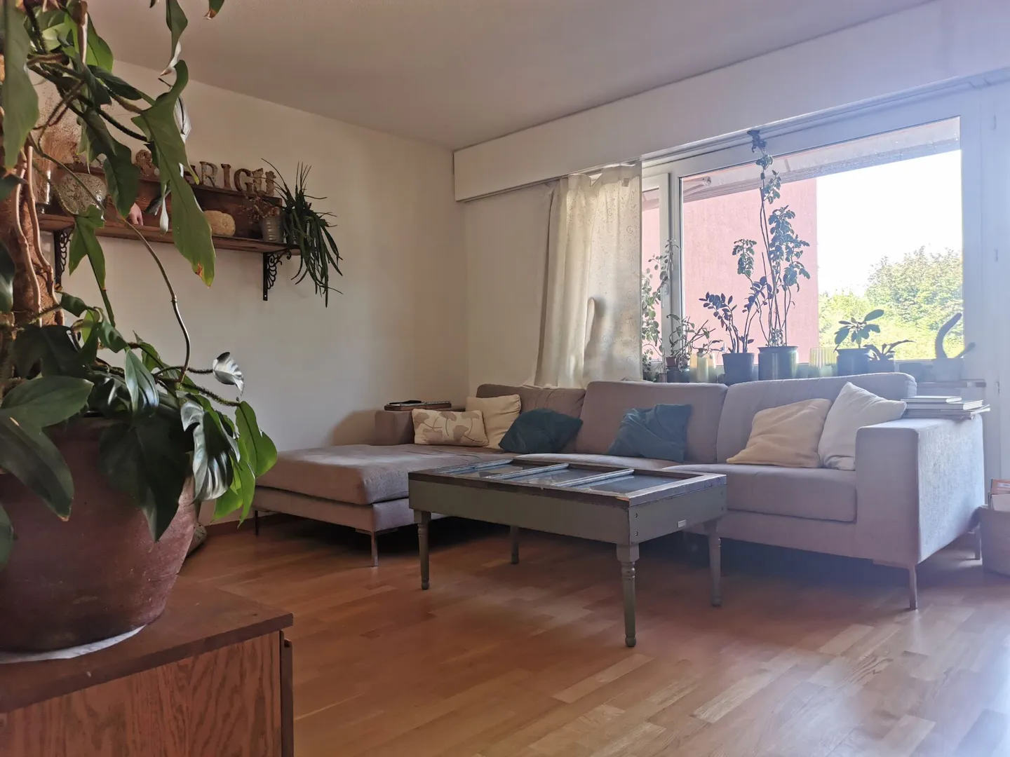 Ruhig gelegene 3.5-Zimmerwohnung in Port - Foto 1 von 8