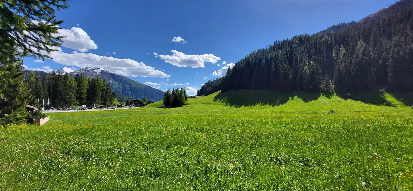 Maison individuelle moderne de 5,5 pièces avec vue sur la montagne à Davos Dorf, Maison - Photo 4 sur 10