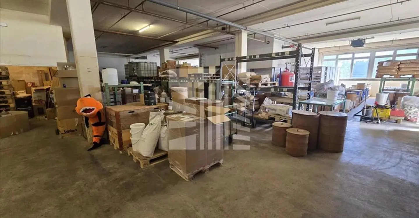 Mixed-use building for rent - Photo 3 of 13