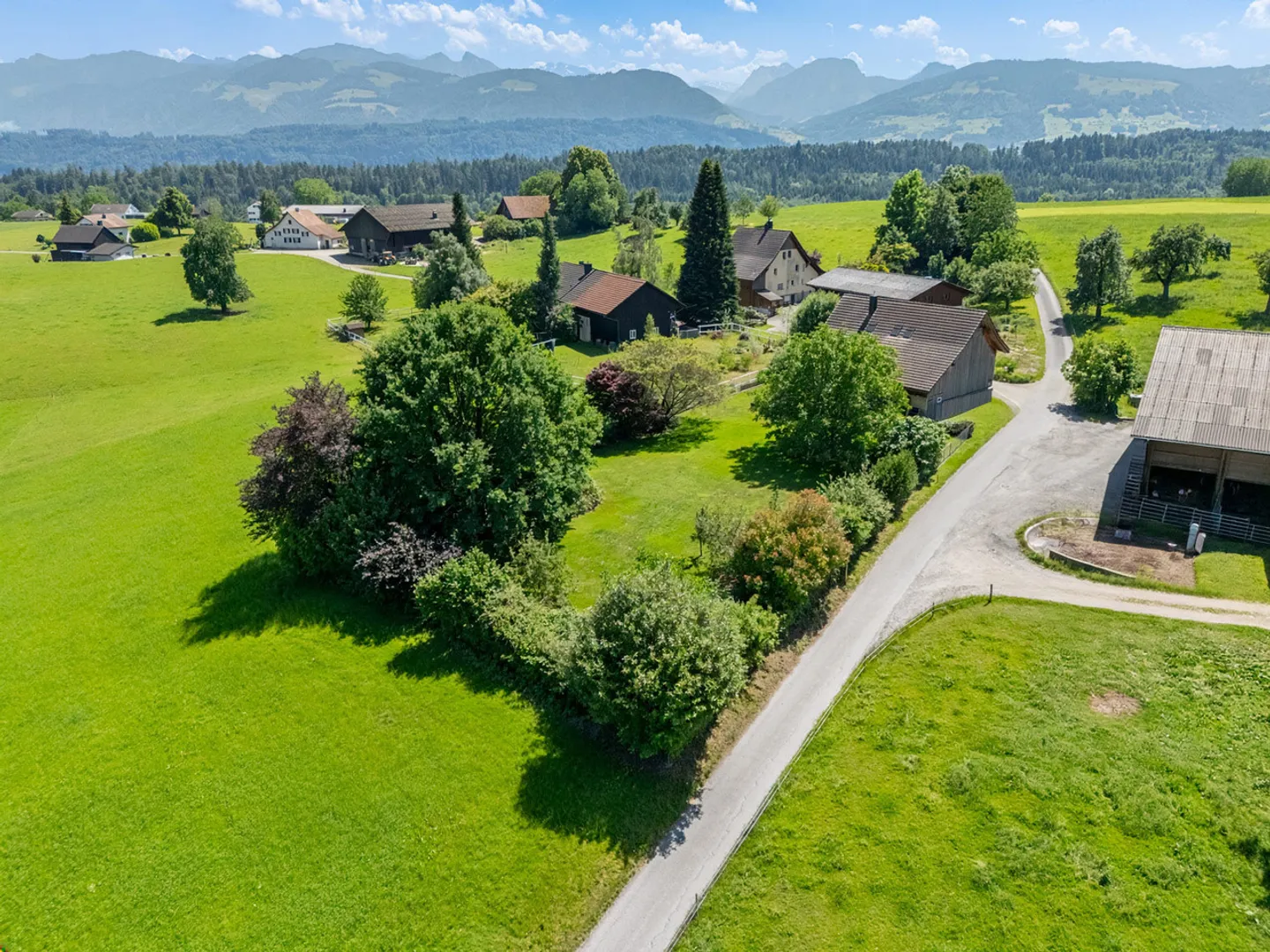 Pace, Privacy e Molto Potenziale - con 2'220 m2 di Terreno - Foto 5 di 7