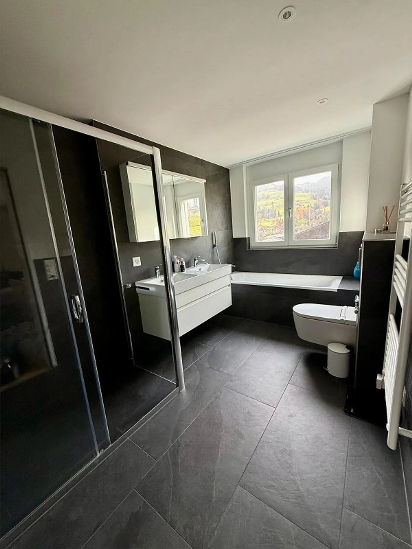 4.5 Room Apartment - Photo 10 of 12