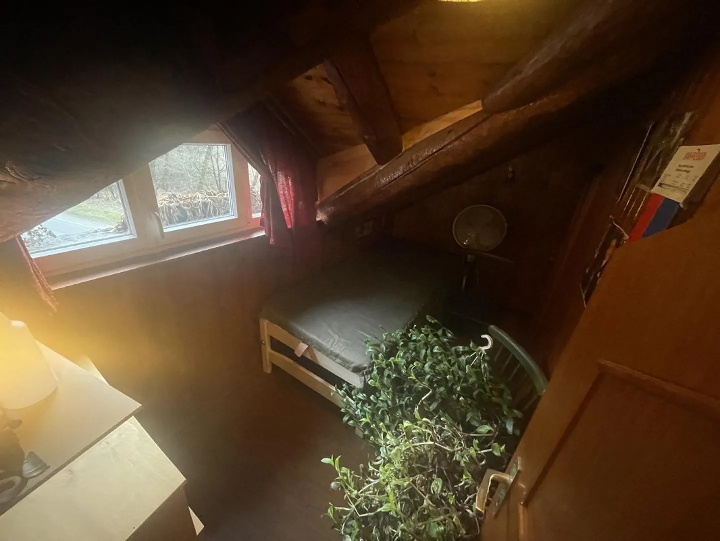 Ristorante grotta con terrazze estive e rustico ristrutturato di 5 camere - Foto 23 di 36