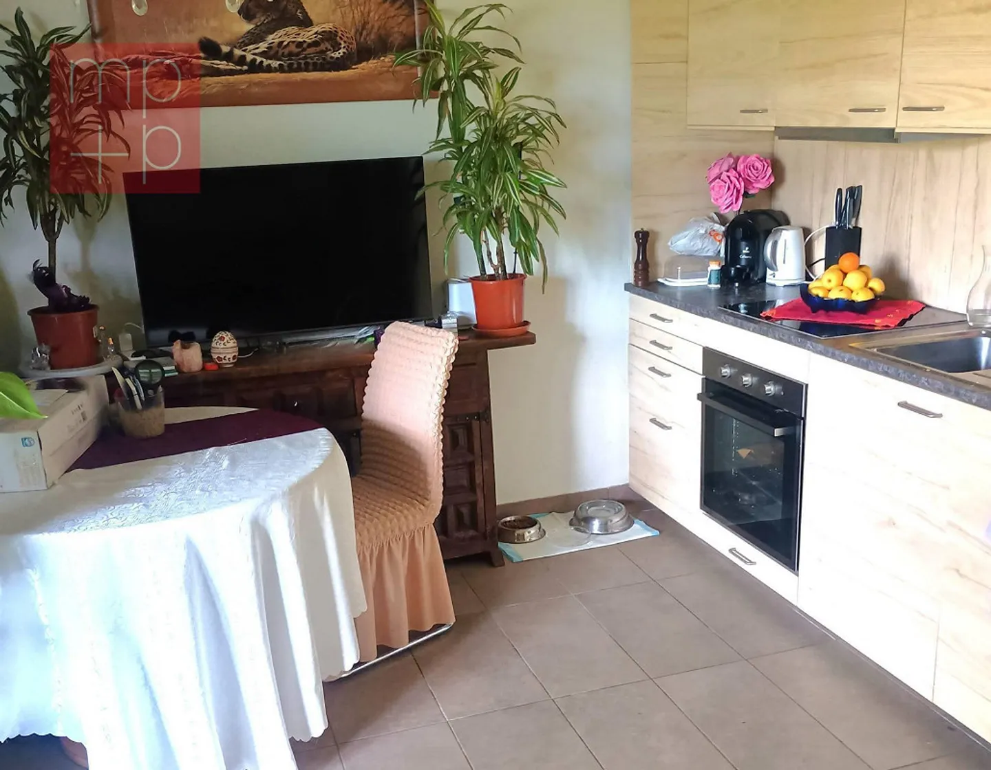 Villa - Cugnasco-Gerra - Foto 3 di 8