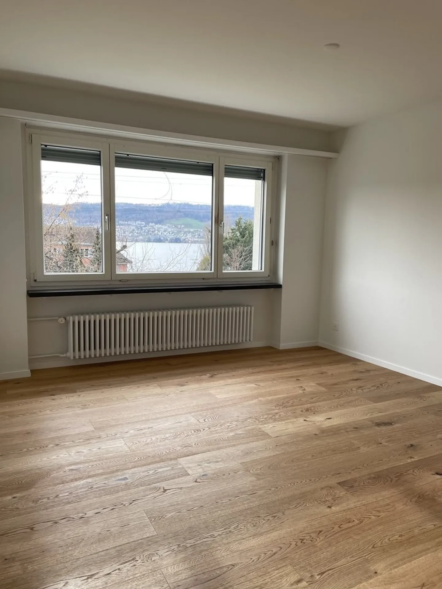 Wohnung mit Blick auf den Zürichsee - Foto 7 von 8