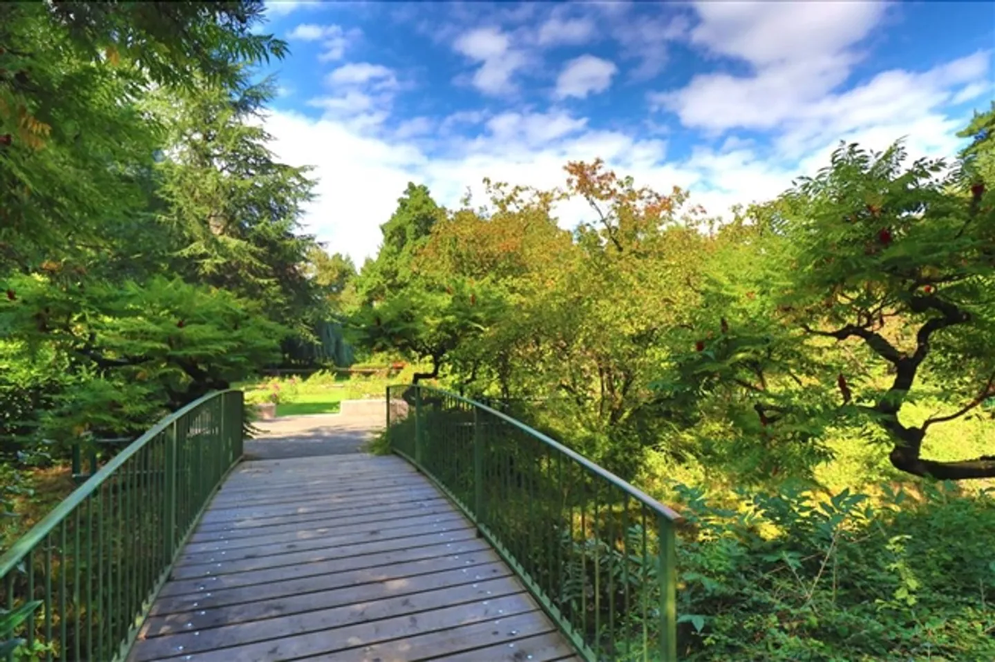 «A02_Appartement von 3.5 Zimmern im Erdgeschoss» - Foto 10 von 11