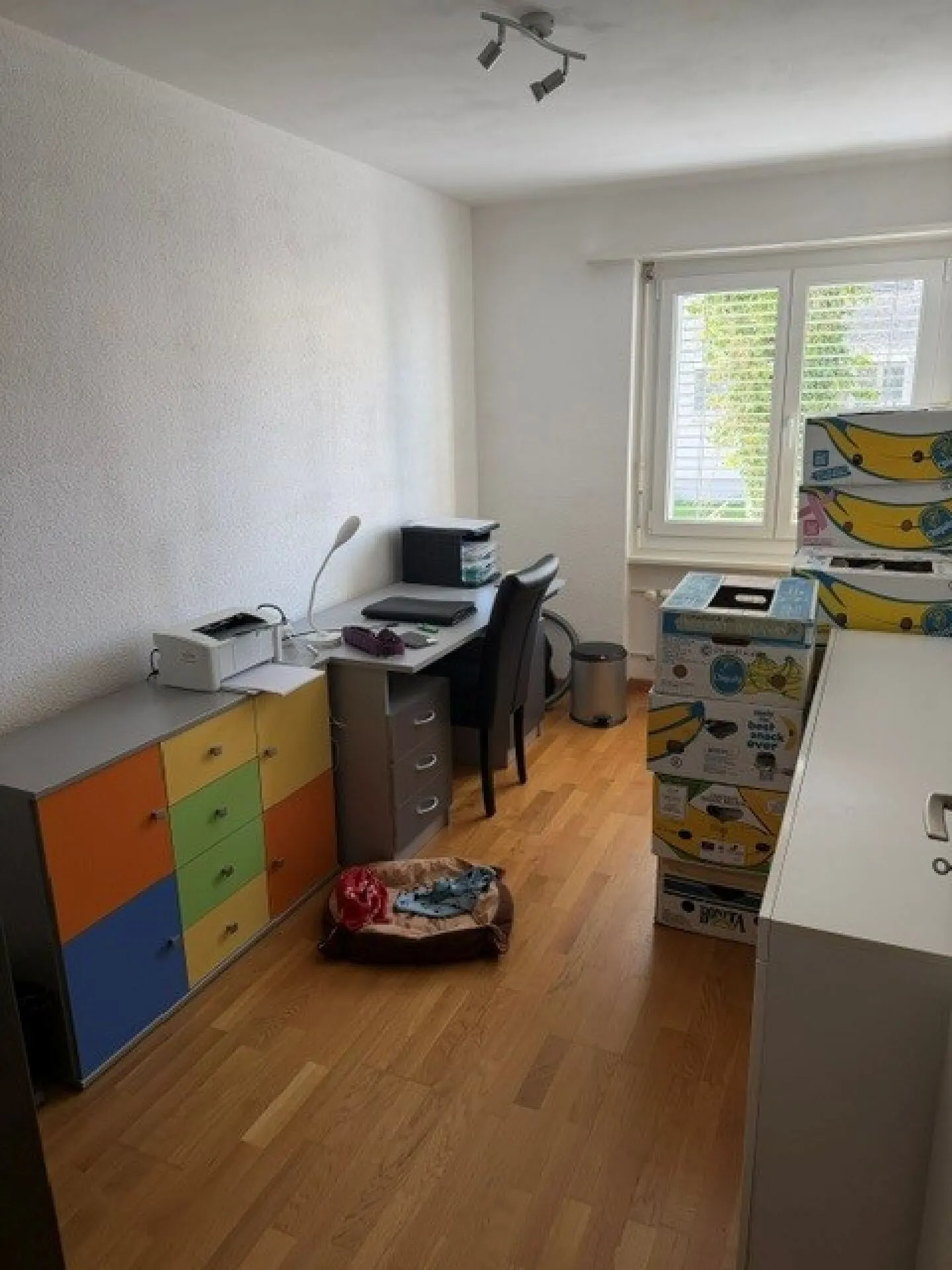 Luminoso appartamento di 3 stanze con molto comfort abitativo - Foto 7 di 8