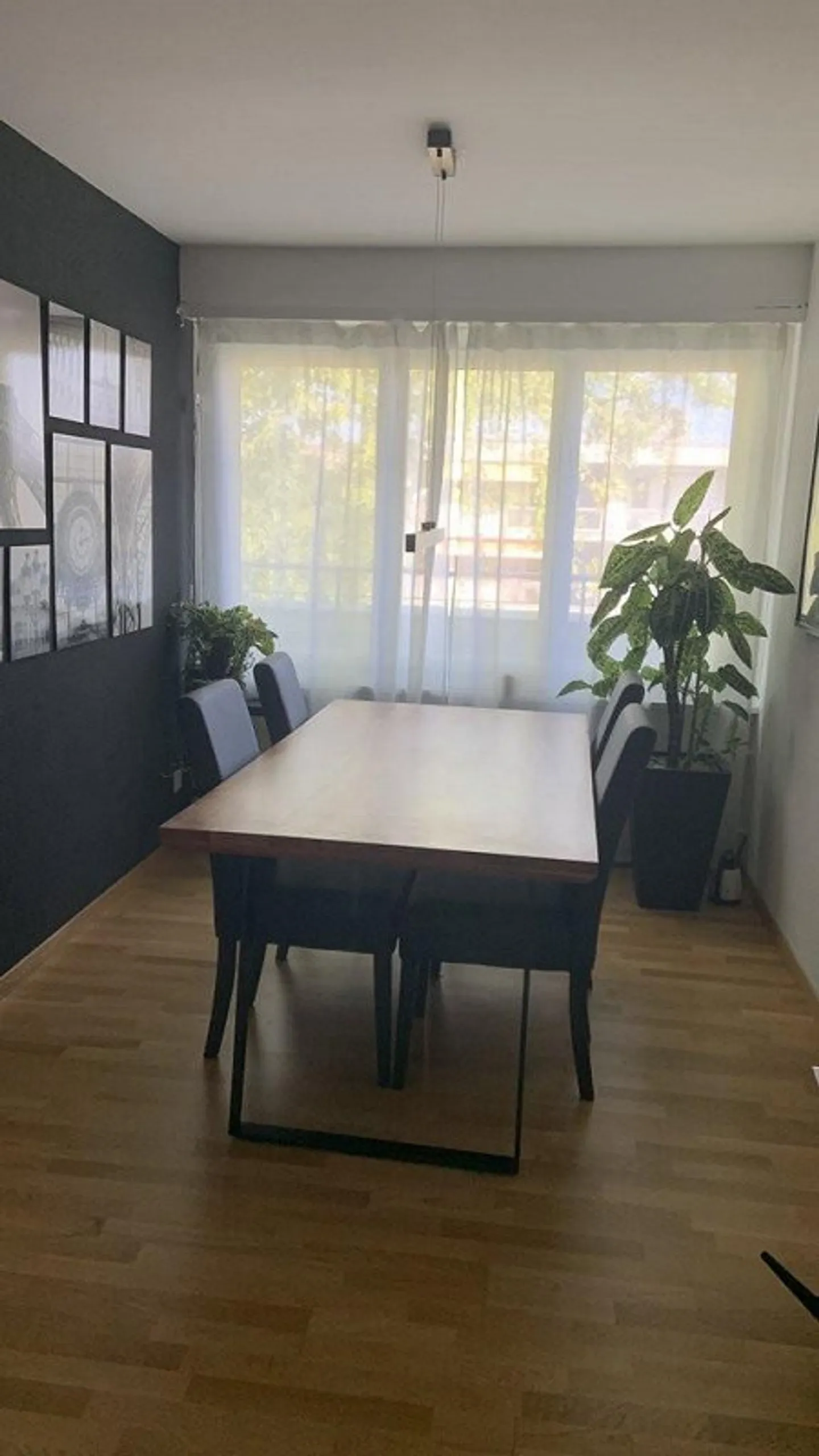 Appartamento moderno tra l'Aare e la montagna locale di Berna - Foto 6 di 8