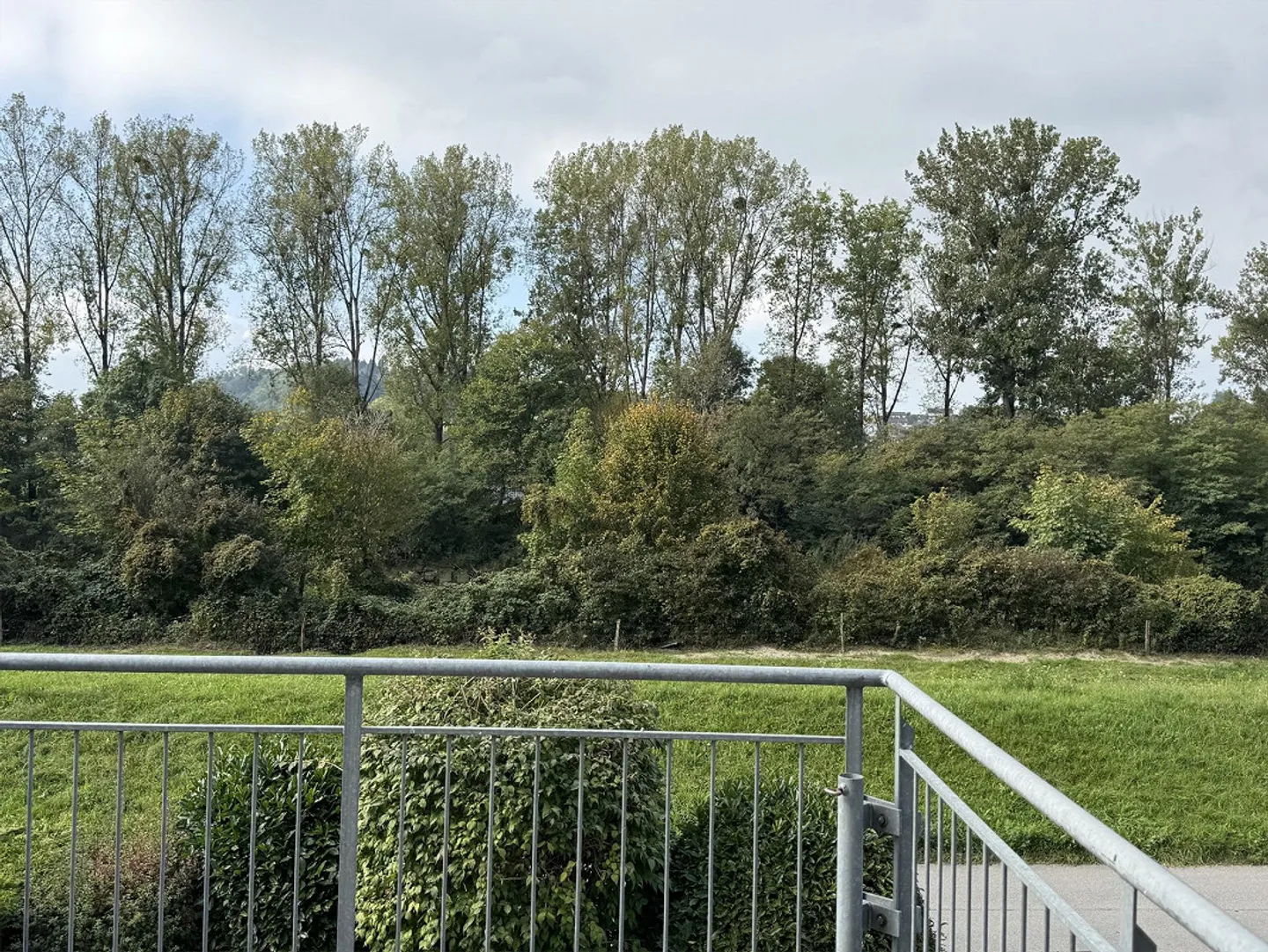 Relaxing by the Saane - Gümmenen - Photo 5 of 8