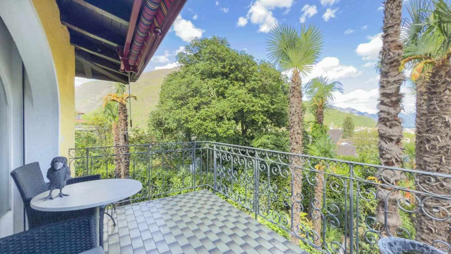 Losone - Oasi di palme in Ticino / Ein Palmenparadies im Tessin - Foto 7 di 10