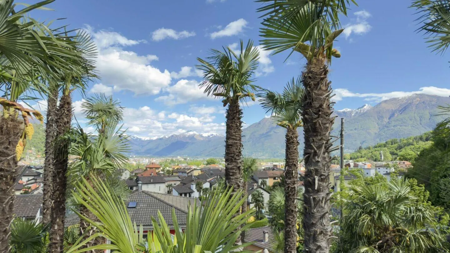 Losone - Oasi di palme in Ticino / Ein Palmenparadies im Tessin - Foto 8 di 10