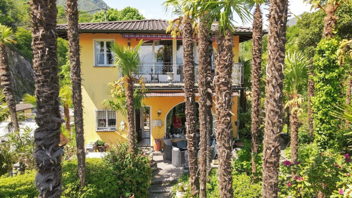 Losone - Oasi di palme in Ticino / Ein Palmenparadies im Tessin - Foto 9 di 10