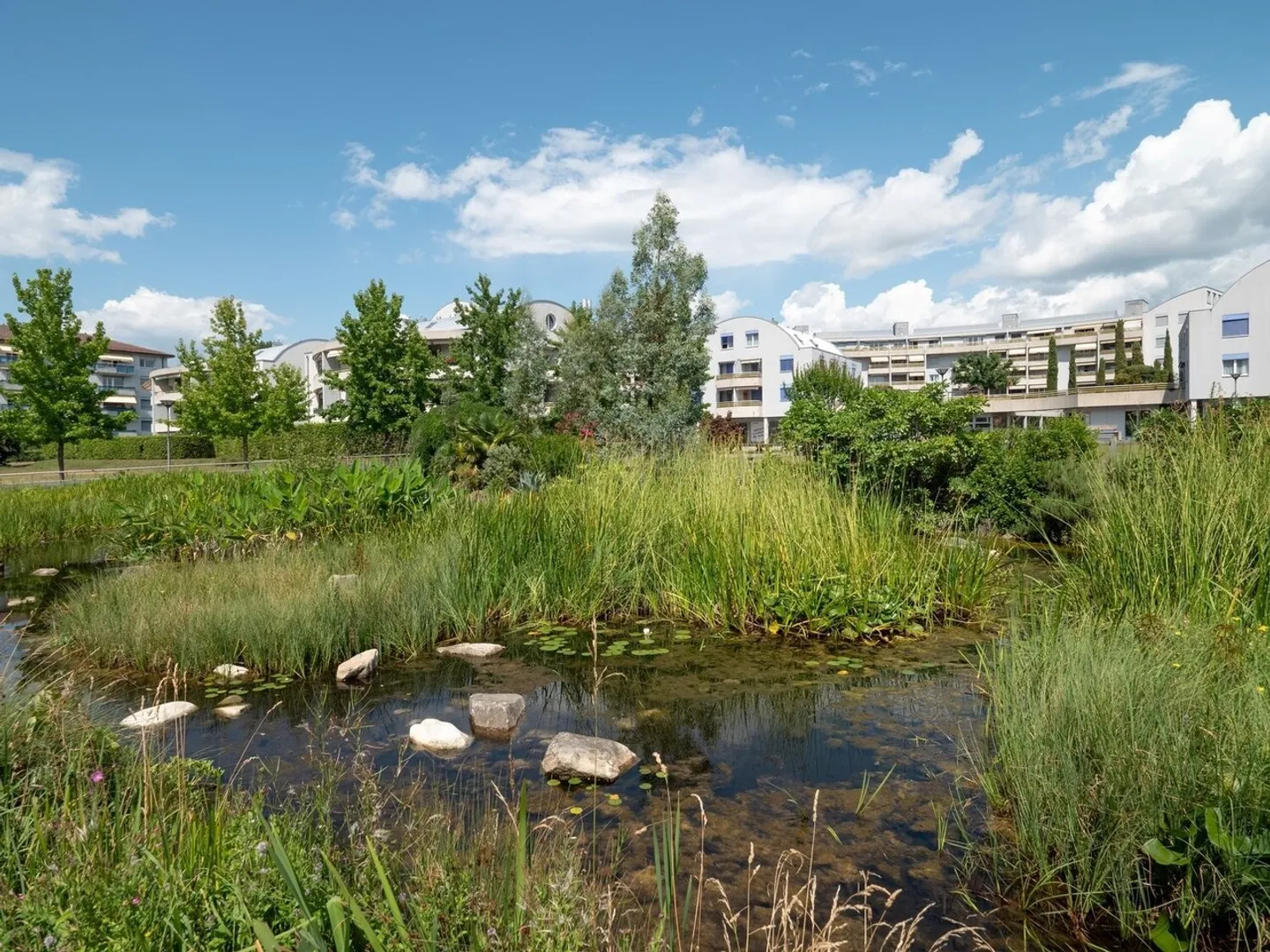 Appartement de 3,5 pièces au 1er étage - Photo 4 sur 9