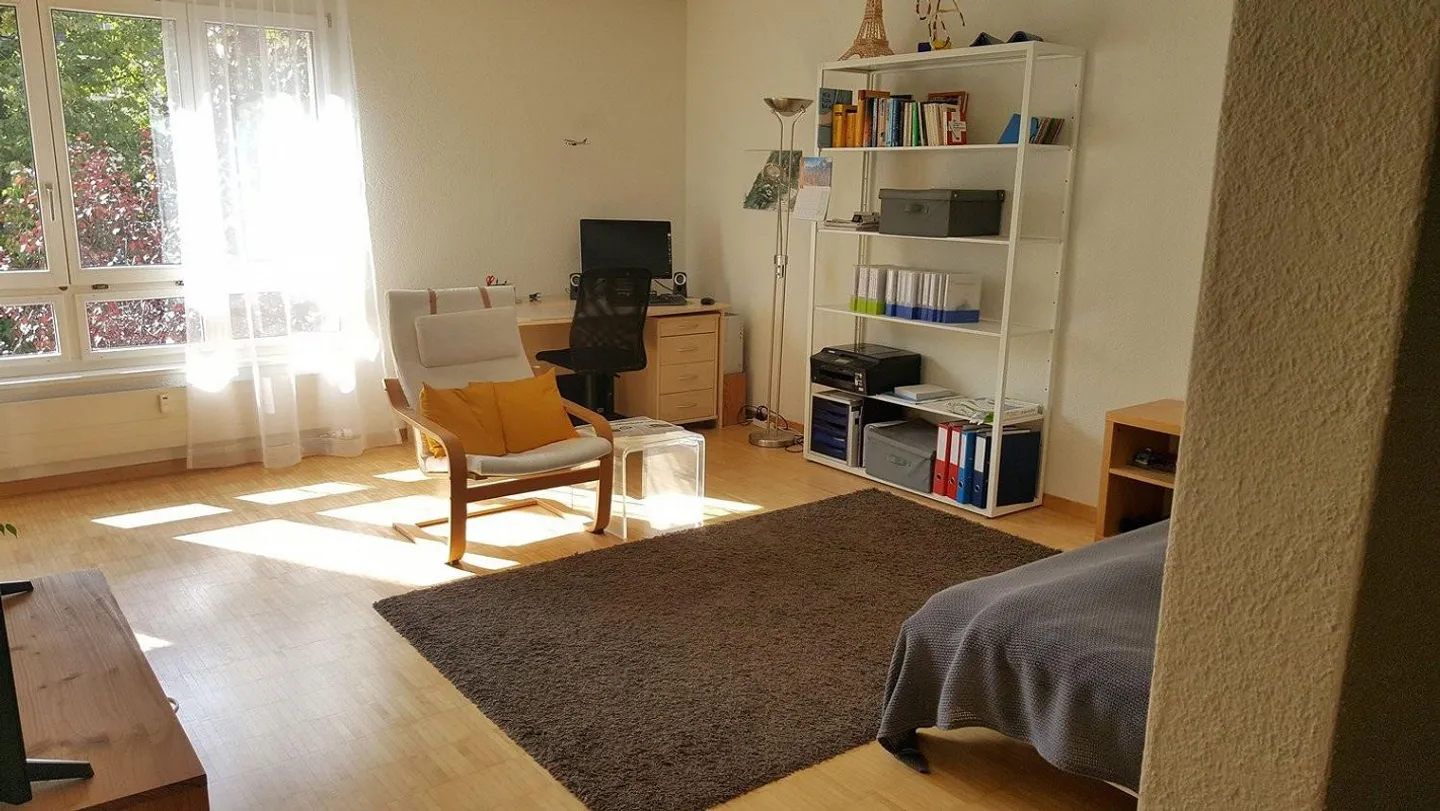 Appartement 1.5 pièces confortable près de la ville - Photo 5 sur 5