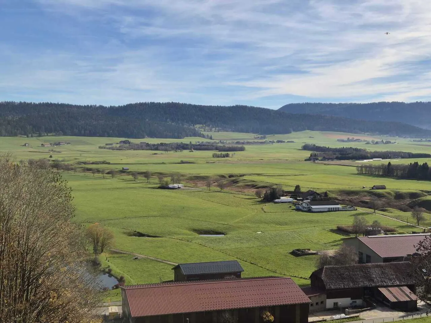 Large garden - Photo 10 of 12