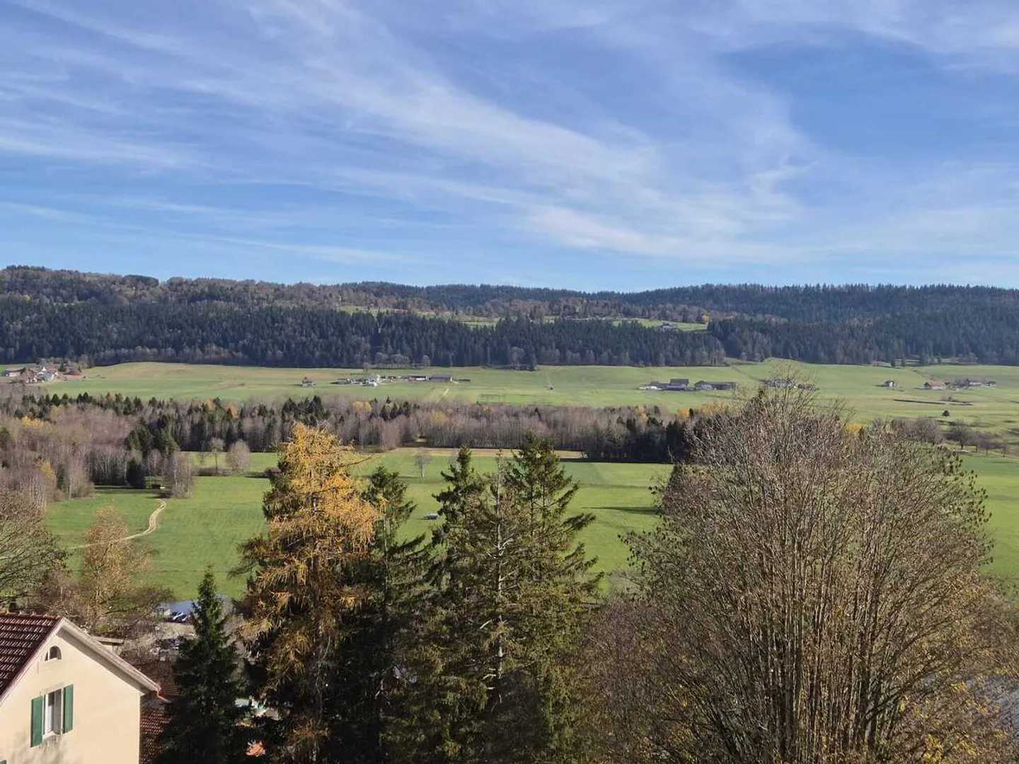 Large garden - Photo 11 of 12