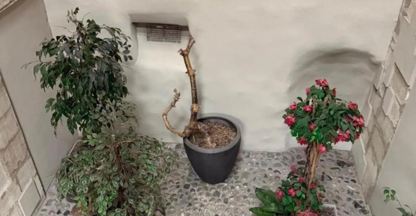 Charmante Wohnung im Herzen der Altstadt von Genf - Verkauf in SI - Foto 9 von 12