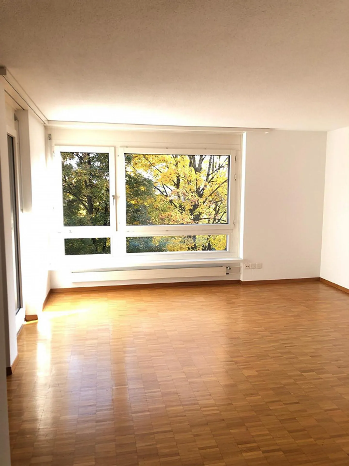 Charmante Wohnung in Ruhiger Lage - Foto 2 von 4