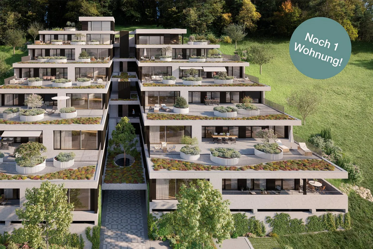 «Sentiero del Giardino» Erlinsbach - Ultimo Appartamento in Terrazza - Foto 1 di 9