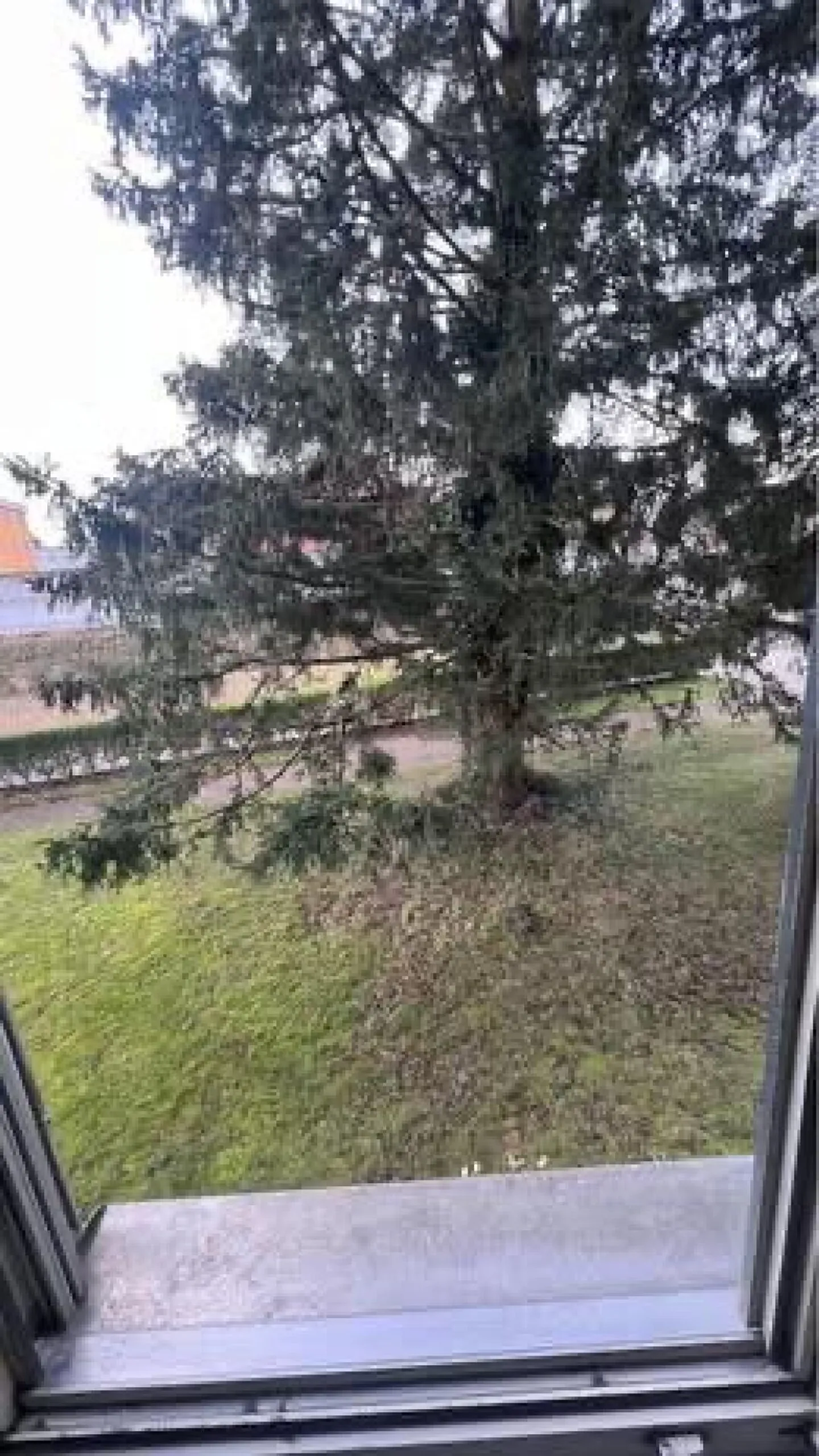 Appartement 1 1/2 pièces Charmant Appartement Ancien - Photo 1 sur 7