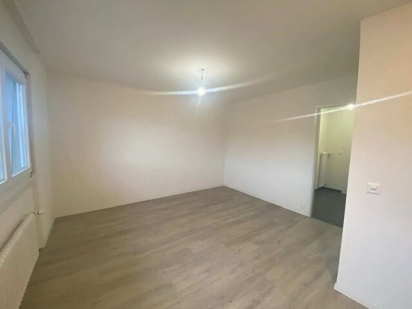 Renovated studio near Malley - Photo 3 of 6