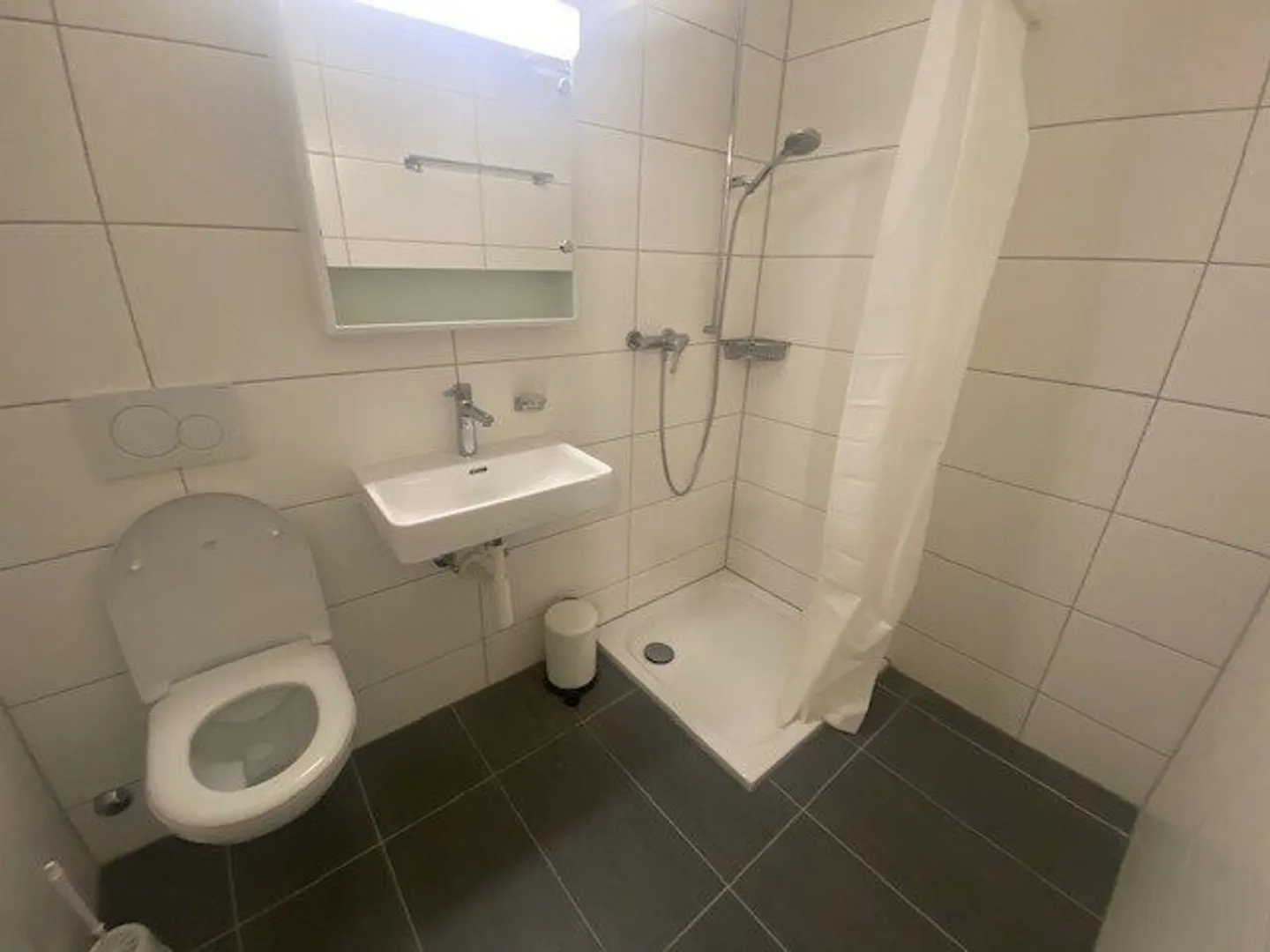 Renovated studio near Malley - Photo 2 of 6