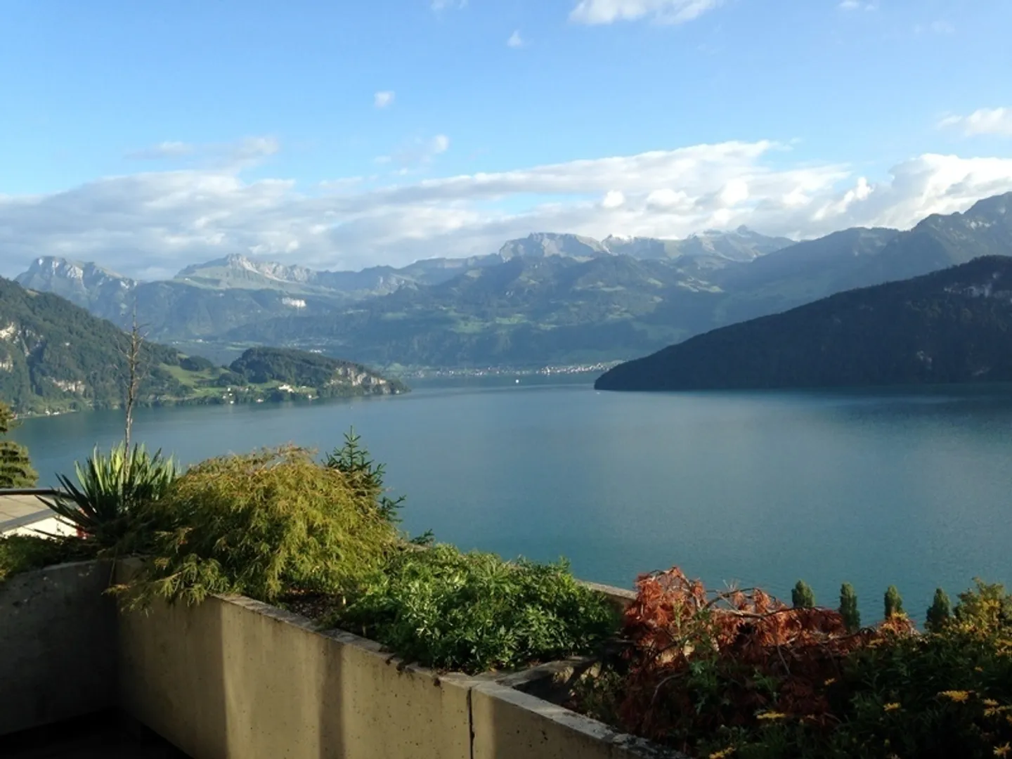 Appartamento in affitto - Foto 1 di 10