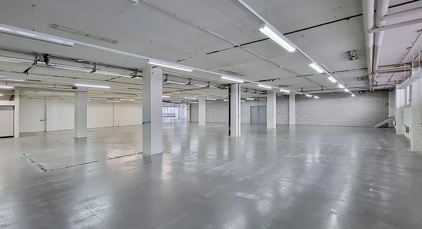 Exciting commercial space in the basement with plenty of daylight! - Photo 2 of 8