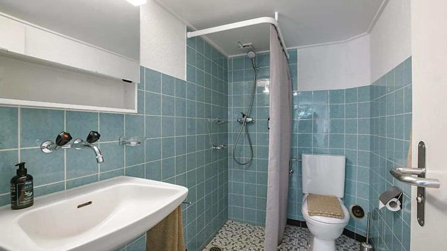 2½ ROOM APARTMENT IN LEISSIGEN (BE), FURNISHED, TEMPORARY - Photo 7 of 10