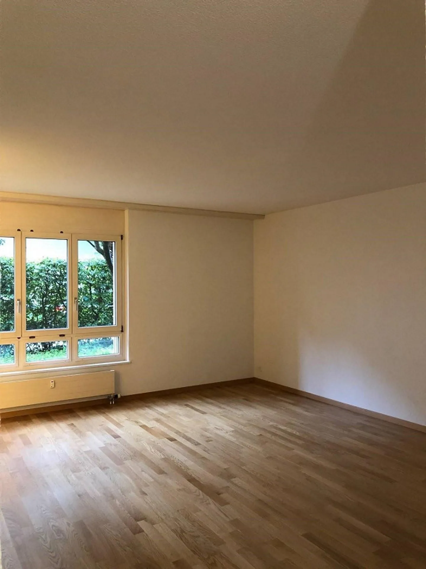 Au cœur de la ville - au milieu de la vie - Photo 4 sur 6