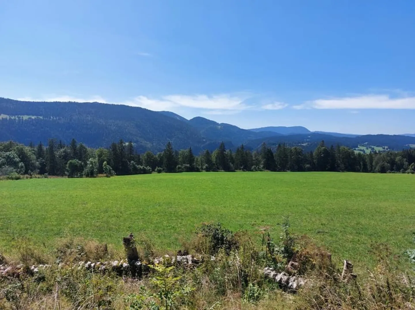 Chalet with exceptional panoramic view and large garden - Photo 4 of 13