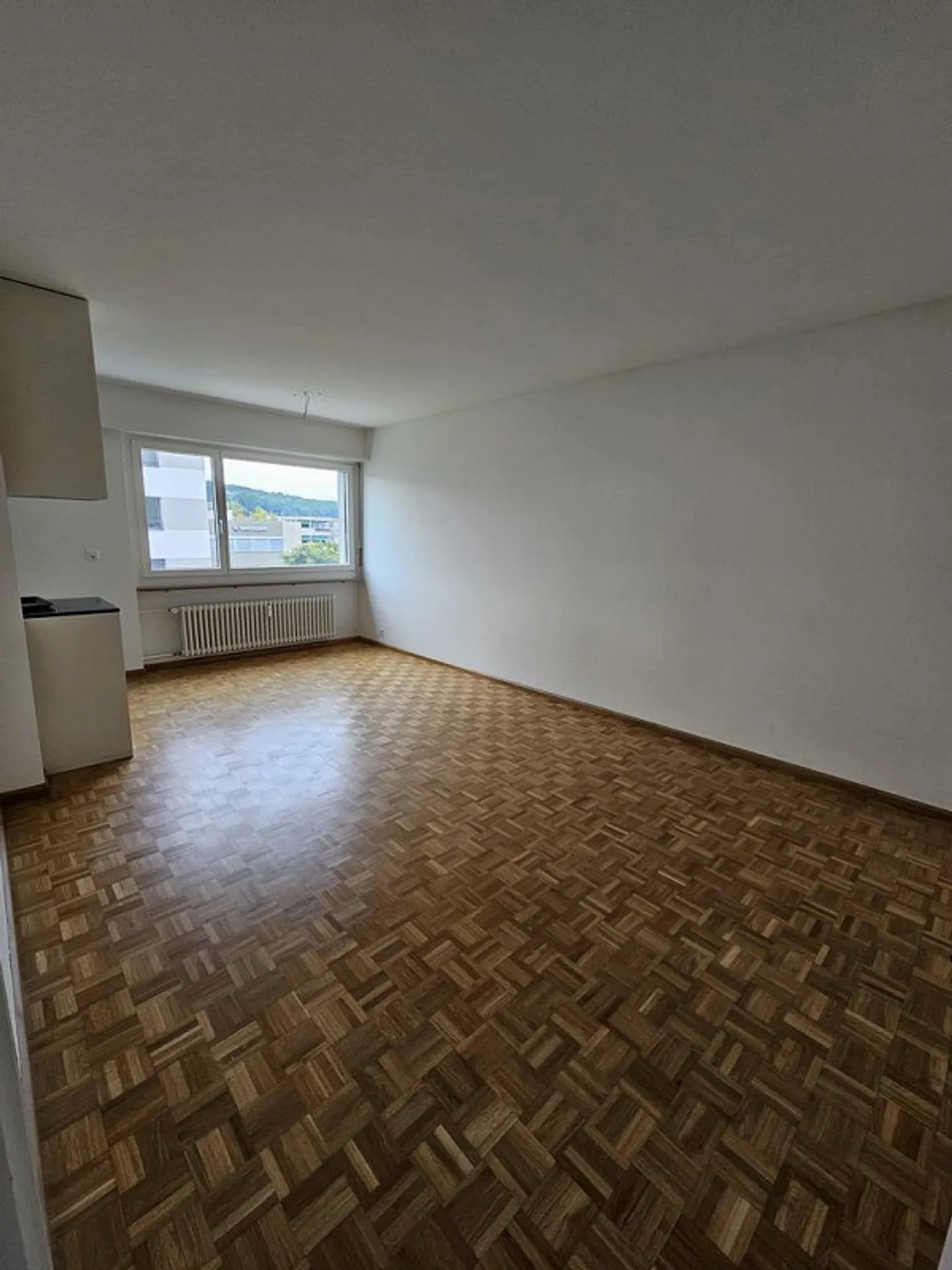 Spacious 2-room apartment (renovated) - Photo 3 of 12