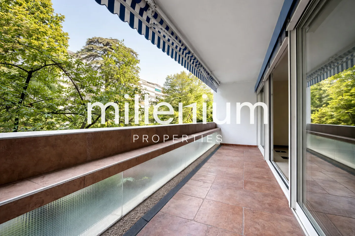 Beautiful 5.5-room apartment with pool - Malagnou - Photo 3 of 13