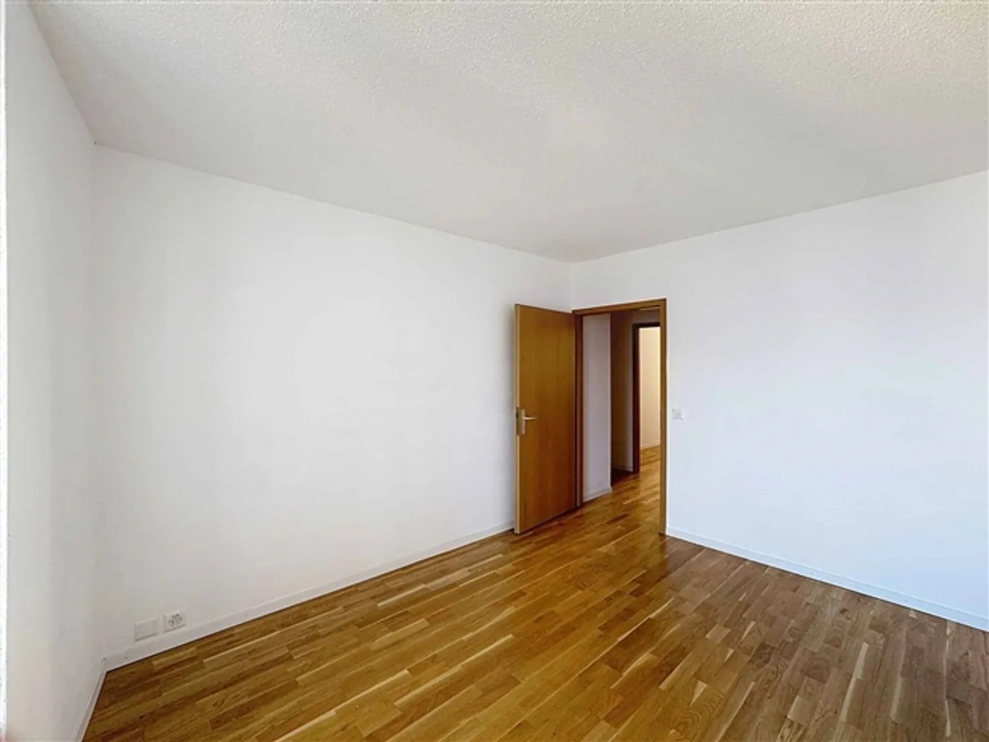 Renovated 4 Rooms + 2 Balconies – Excellent View of the Lake - Photo 7 of 13