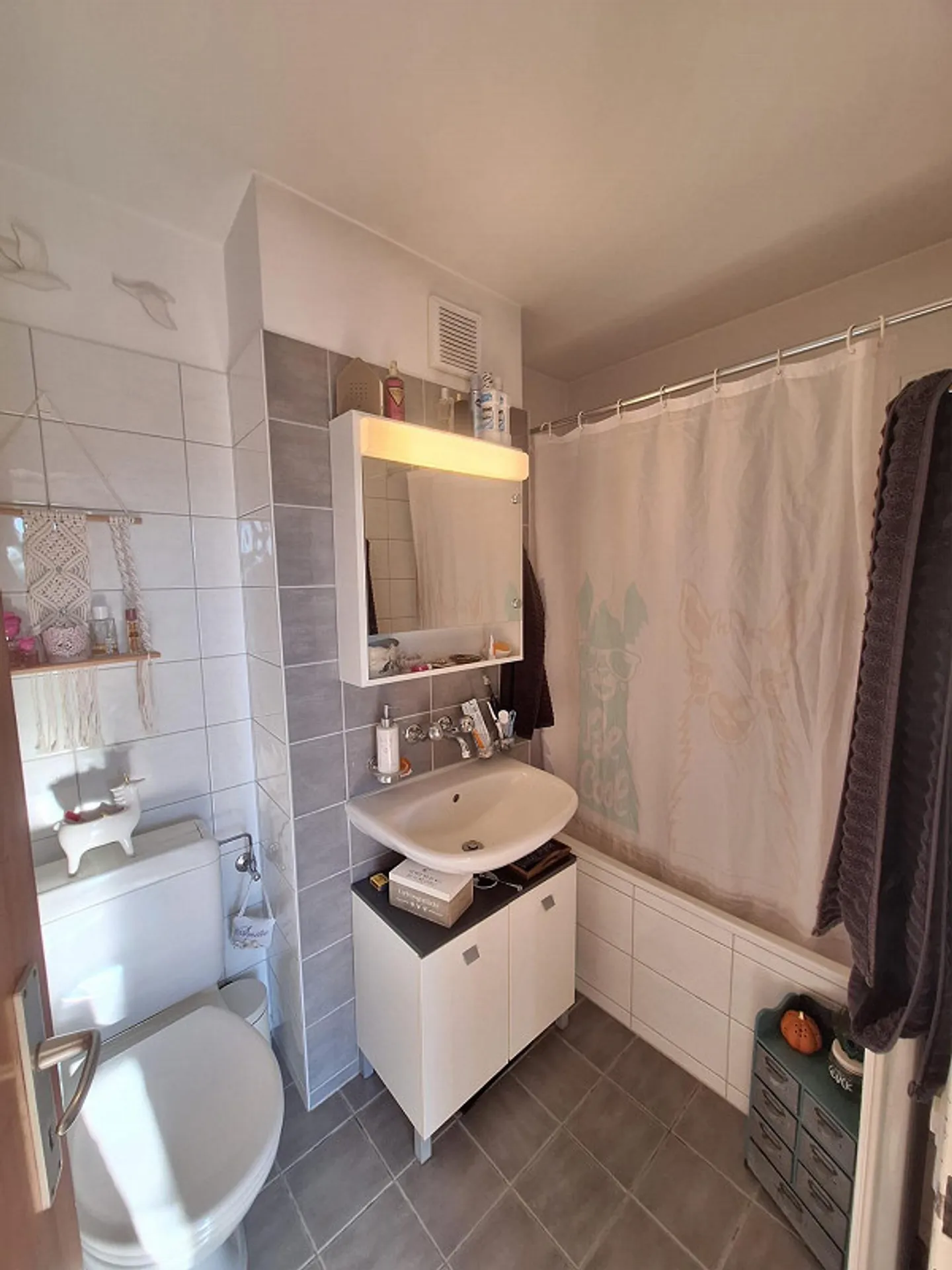 Allschwil, belle penthouse de 2,5 pièces - Photo 5 sur 8