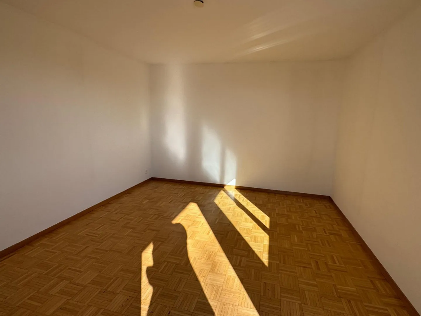 Appartement penthouse exclusif avec terrasse magnifique à Bassersdorf - Photo 5 sur 6