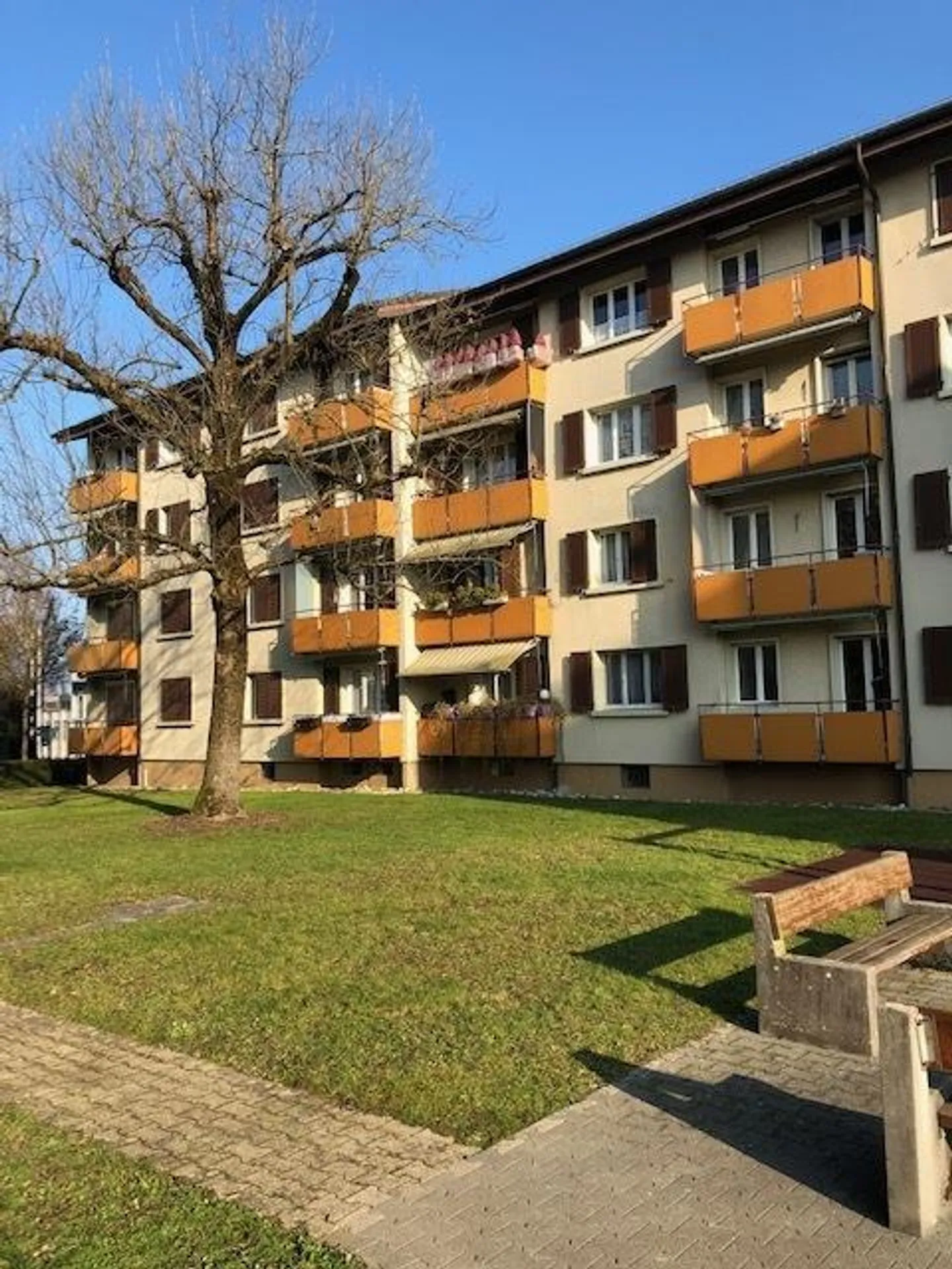 Visite : 09.02.2026 de 15h30 à 16h30 - Photo 1 sur 5