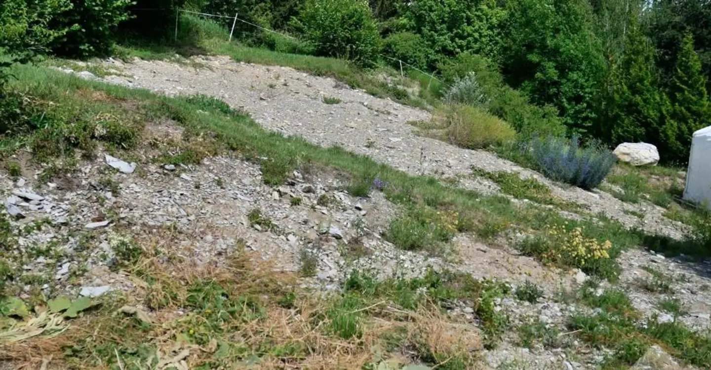 Chalet Plot with Stunning Views - Photo 2 of 4