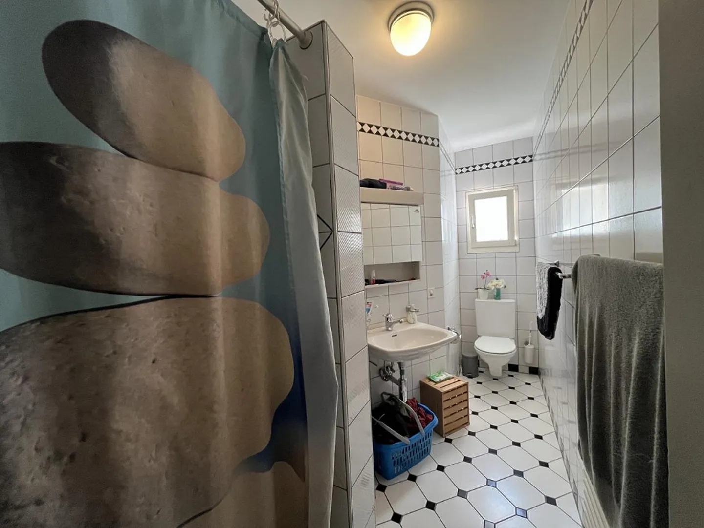 Casa unifamiliare con giardino variegato - Foto 16 di 29