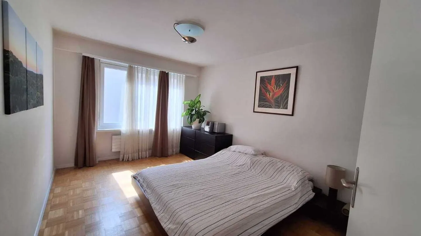 Modern Apartment in Central Location - Photo 4 of 5