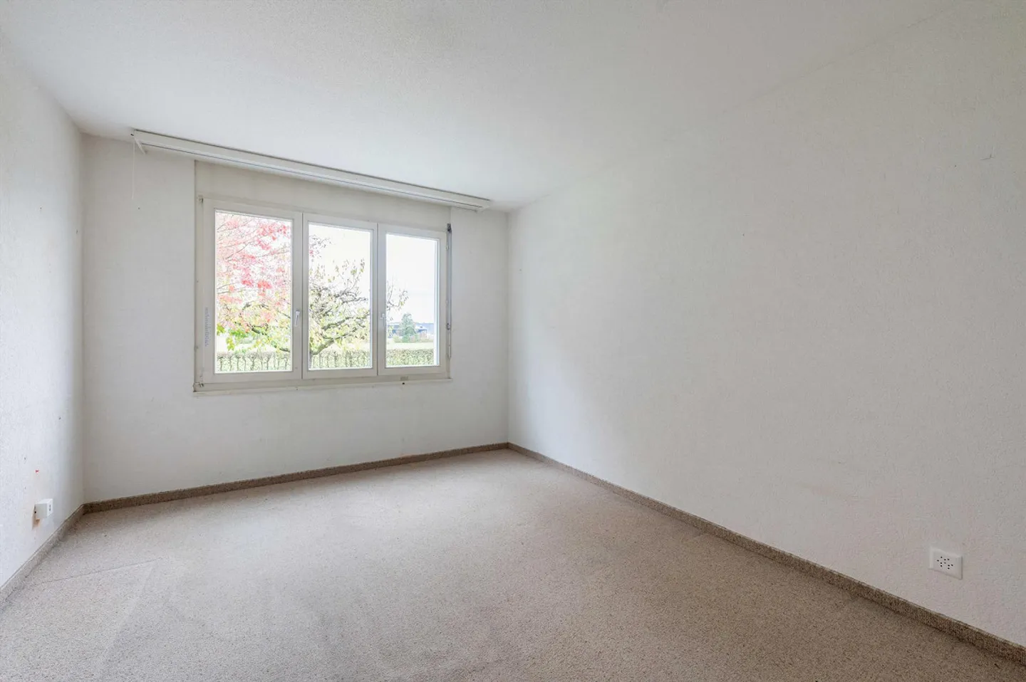 Grosszügige Gartenwohnung an ruhiger, zentraler Lage - Foto 8 von 12