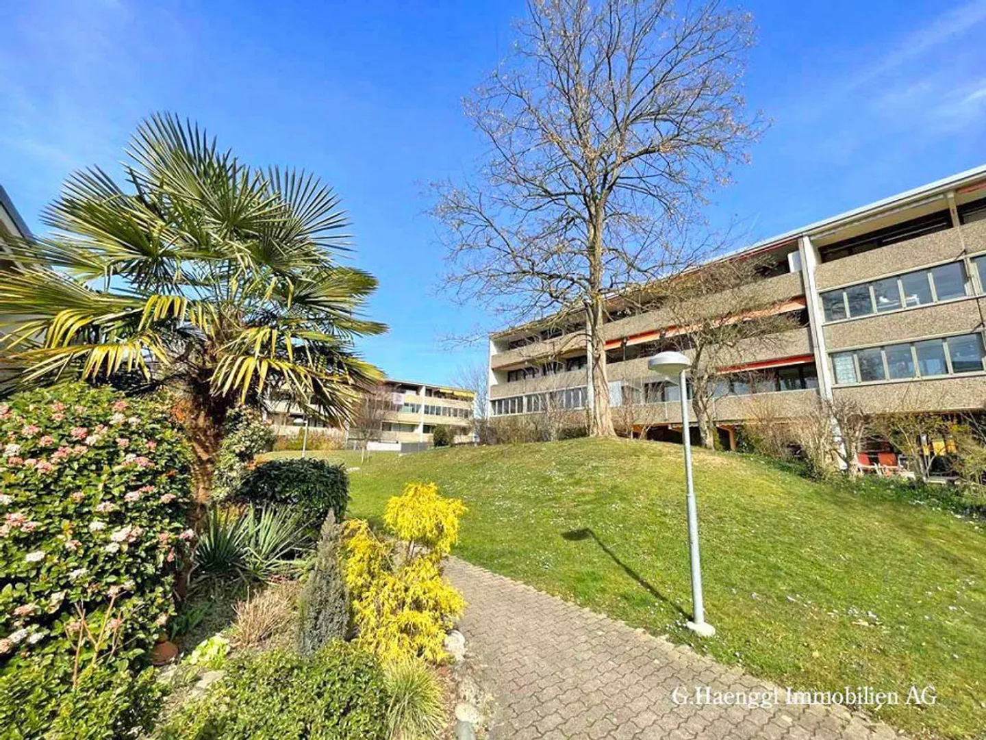 Spacious, bright 3 1/2 room apartment with two large balconies - Photo 1 of 13