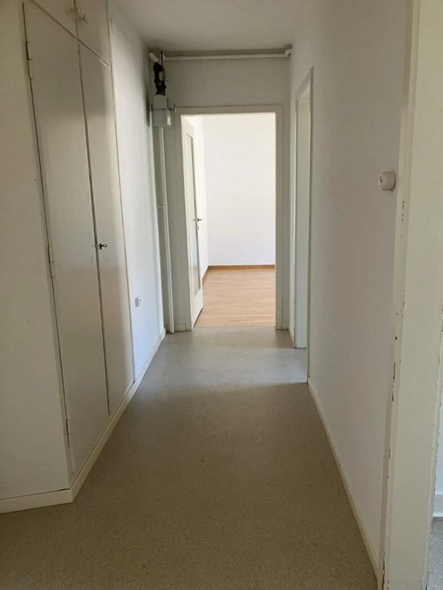 Visita: Mercoledì 11 febbraio 2026 dalle 17:00 alle 18:00 - Foto 5 di 6