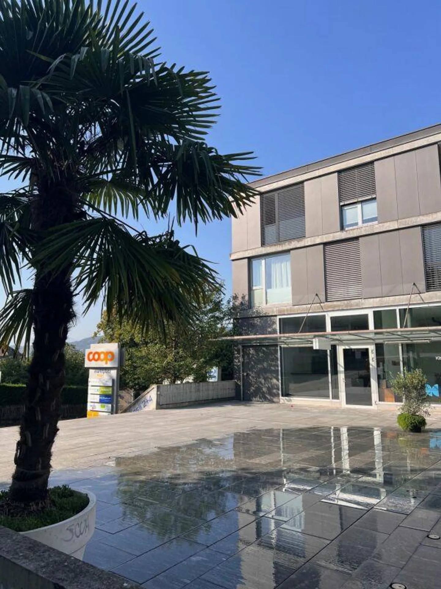 NEGOZIO - UFFICIO - SHOWROOM - Foto 4 di 13