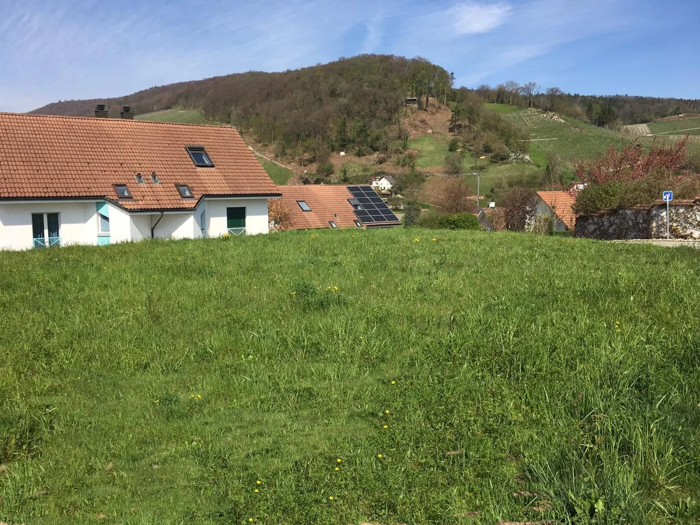 Casa singola in affitto - Foto 6 di 7